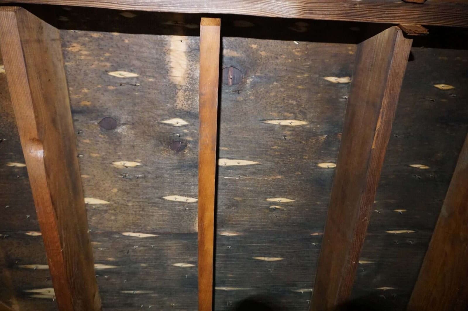Multi-area mold remediation project in Darien, CT, before