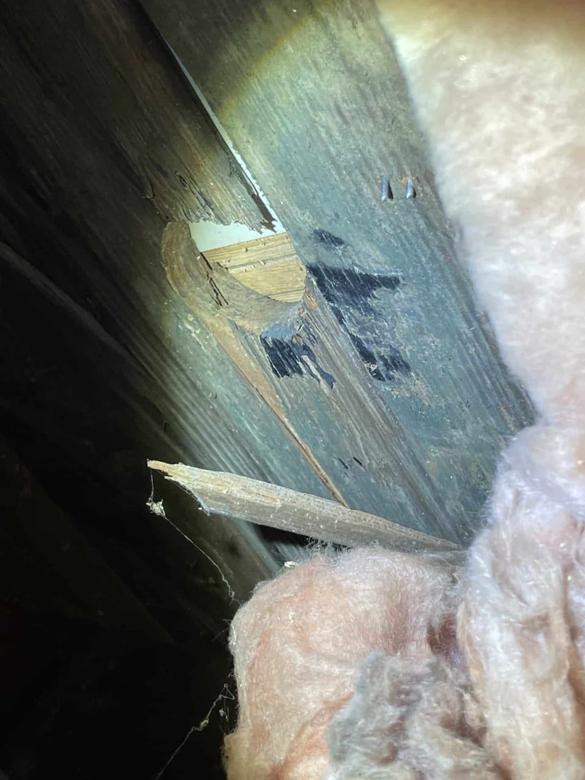 Mold Removal documented in a Darien, CT residence, before