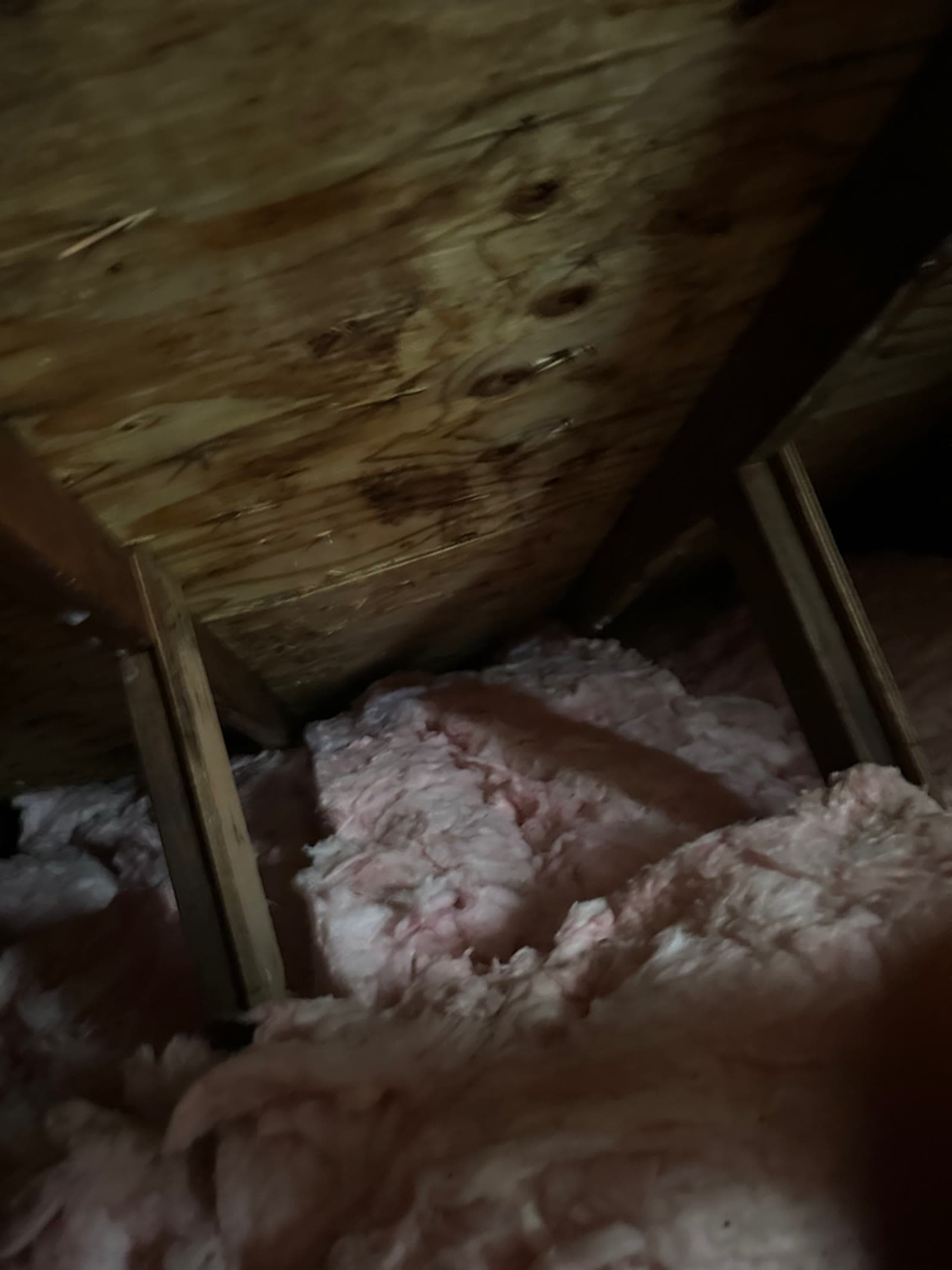 Staining across the underside of roof sheathing in a Monroe, CT attic
