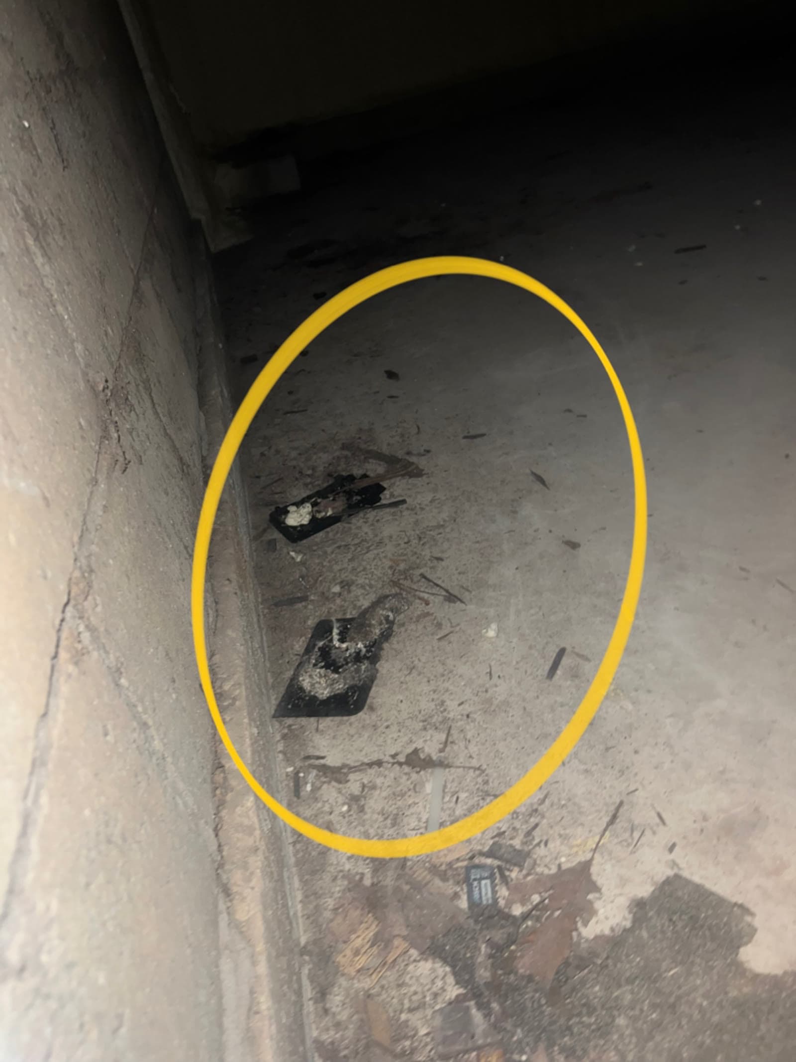 Rodent droppings identified on the crawl space floor of a New Milford, CT home during inspection