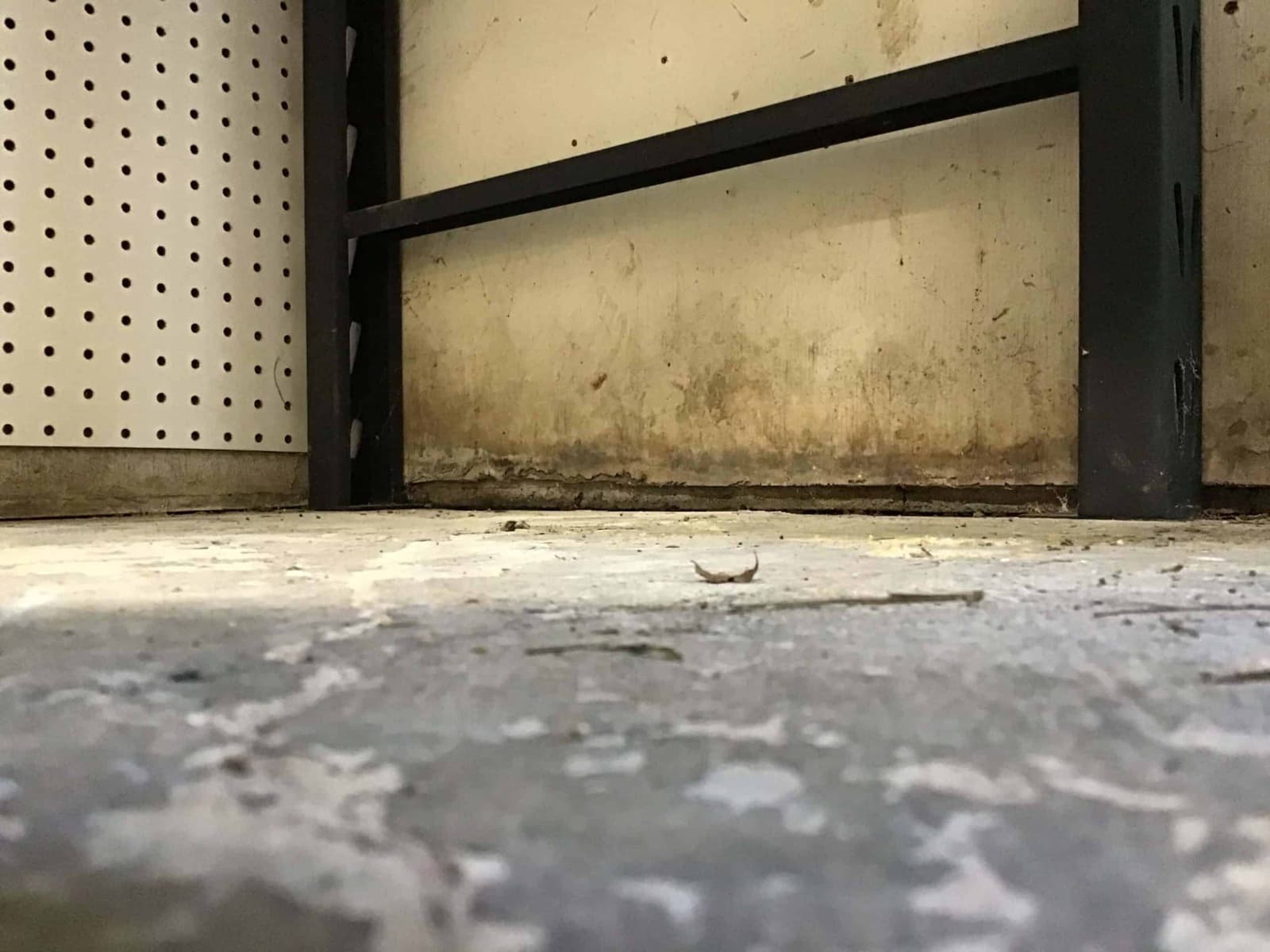 Multi-area mold remediation project in Norwalk, CT, before