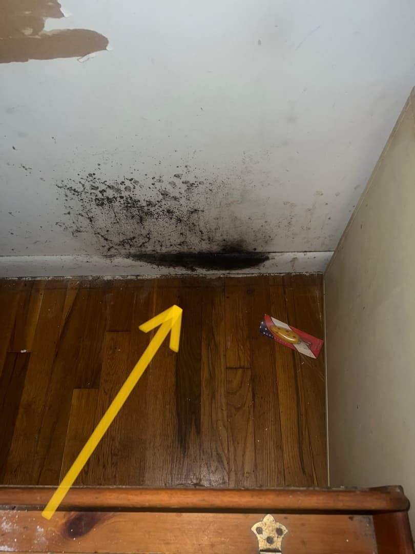 Black mold on a Redding, CT bedroom ceiling with professional moisture inspection