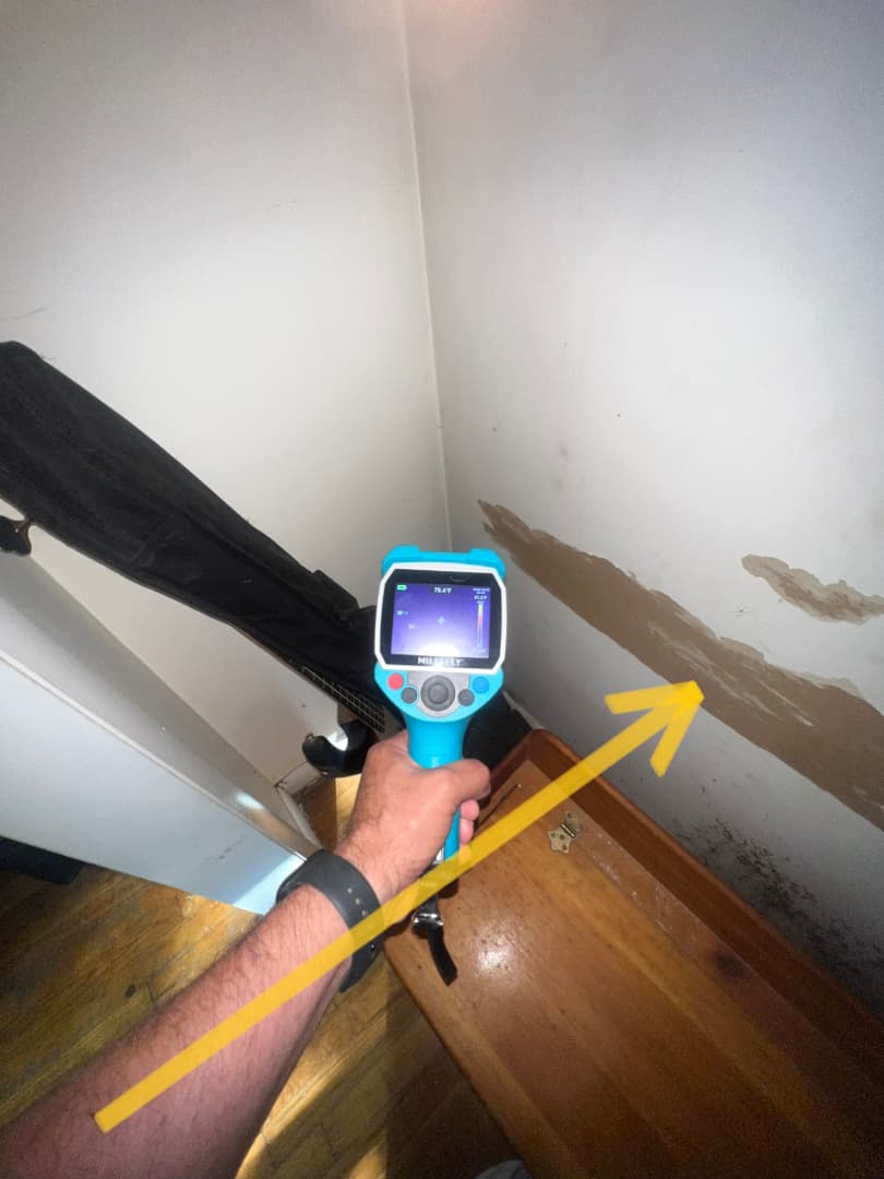Black mold on a Redding, CT bedroom ceiling with professional moisture inspection