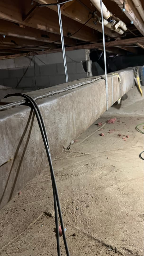 Dead mice and droppings on the crawl space slab of a Stamford, CT home before biohazard cleanup