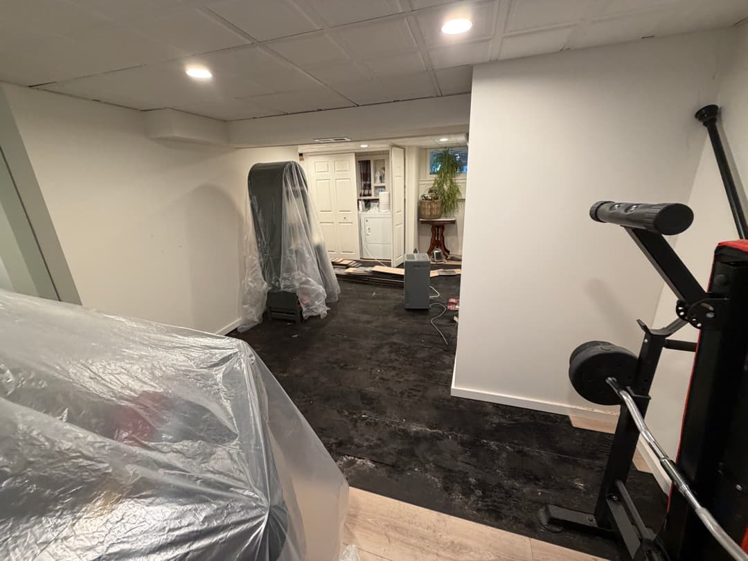 Basement mold and moisture remediation with flooring removed in a Stratford, CT home