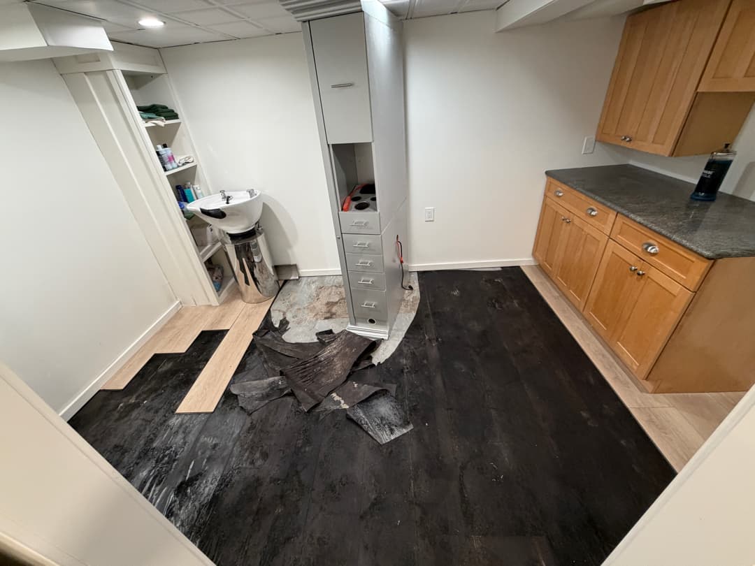 Basement mold and moisture remediation with flooring removed in a Stratford, CT home