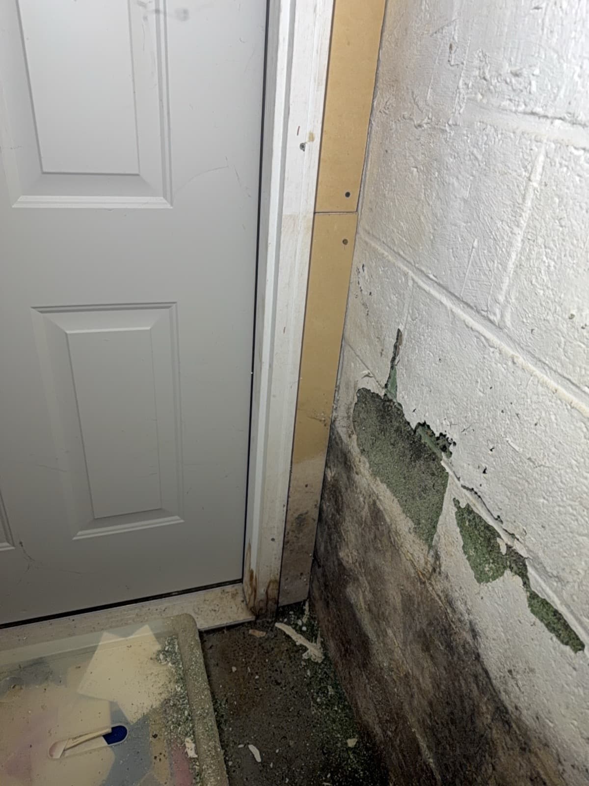 Black mold and peeling green paint on the cinderblock wall beside the side door of a West Haven, CT garage before remediation