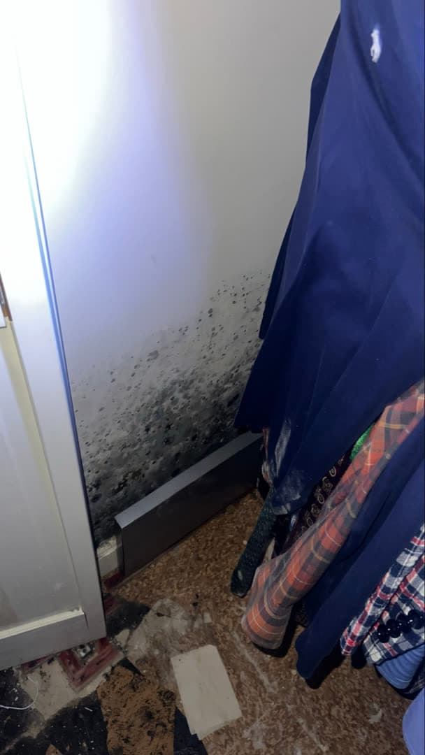 Dark mold growth along the bottom of a closet wall in a finished basement in Weston, CT