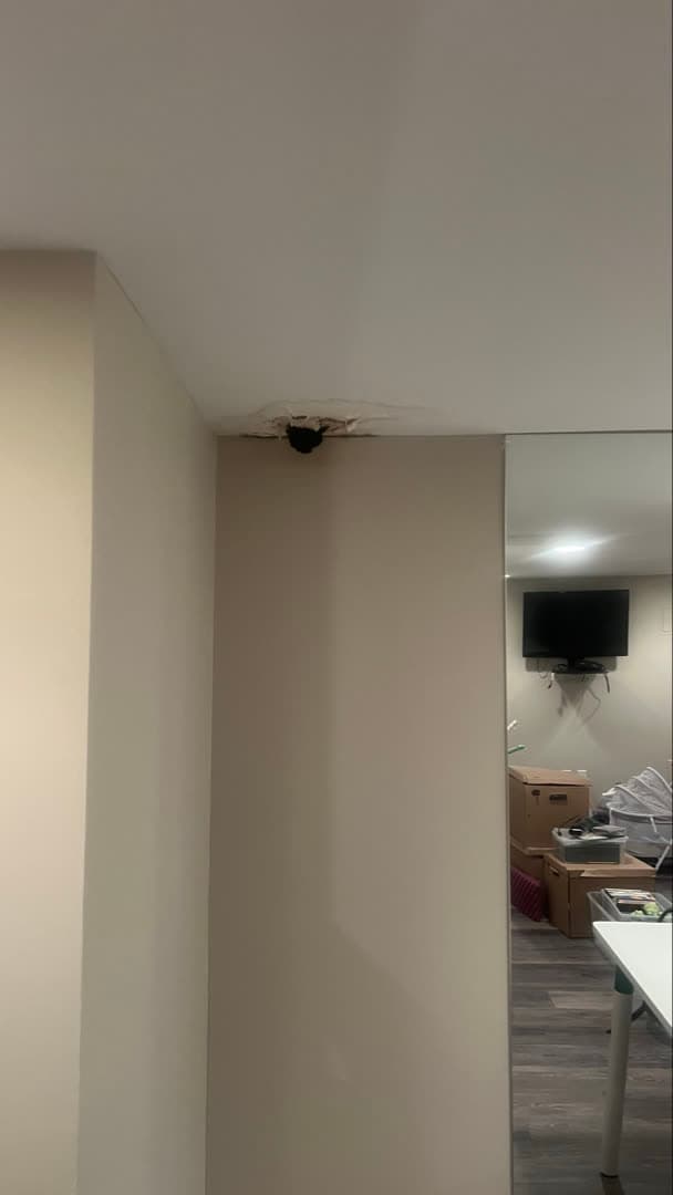 Dark mold growth where the ceiling meets a wall column in a basement playroom in Westport, CT