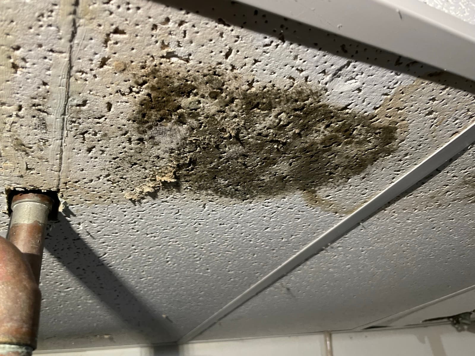 Multi-area mold remediation across the lower level of a Wilton, CT residence, before