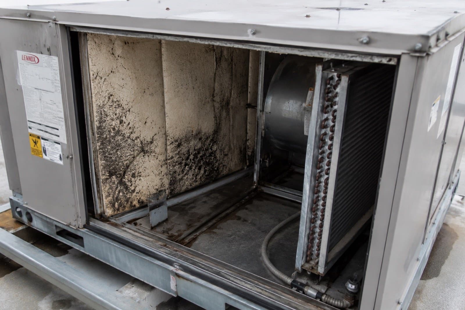 Evaporator coil and air handler cabinet caked with dirt and biofilm, restricting airflow, before cleaning and EPA-registered coil treatment