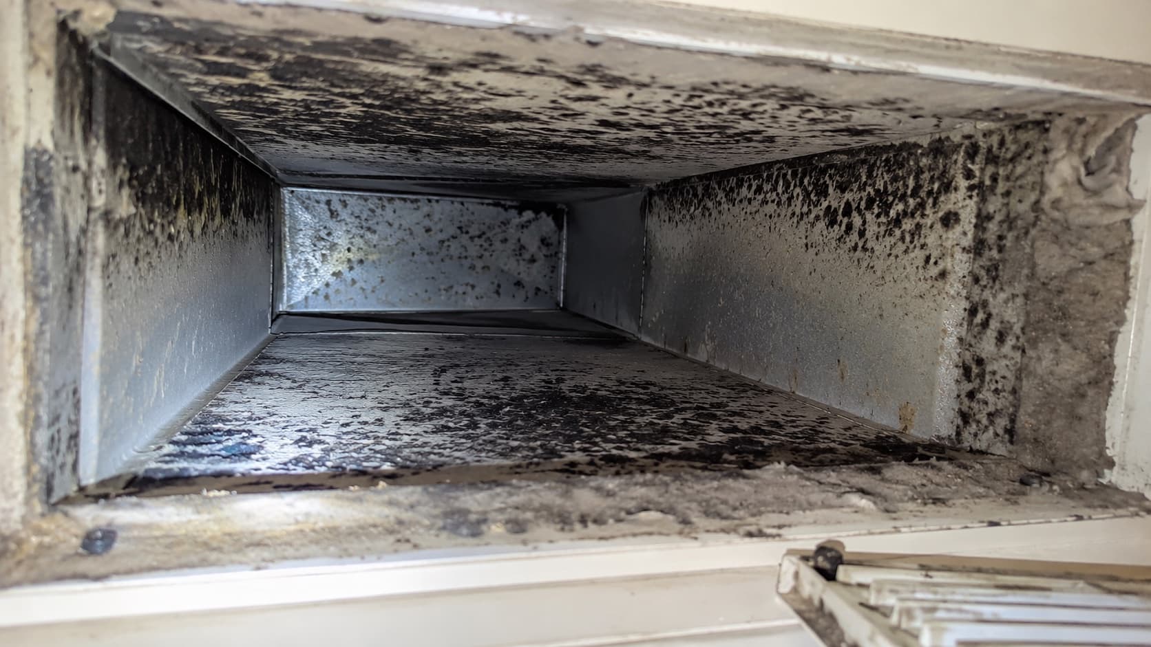Black mold coating the interior sheet-metal walls of a residential HVAC supply duct