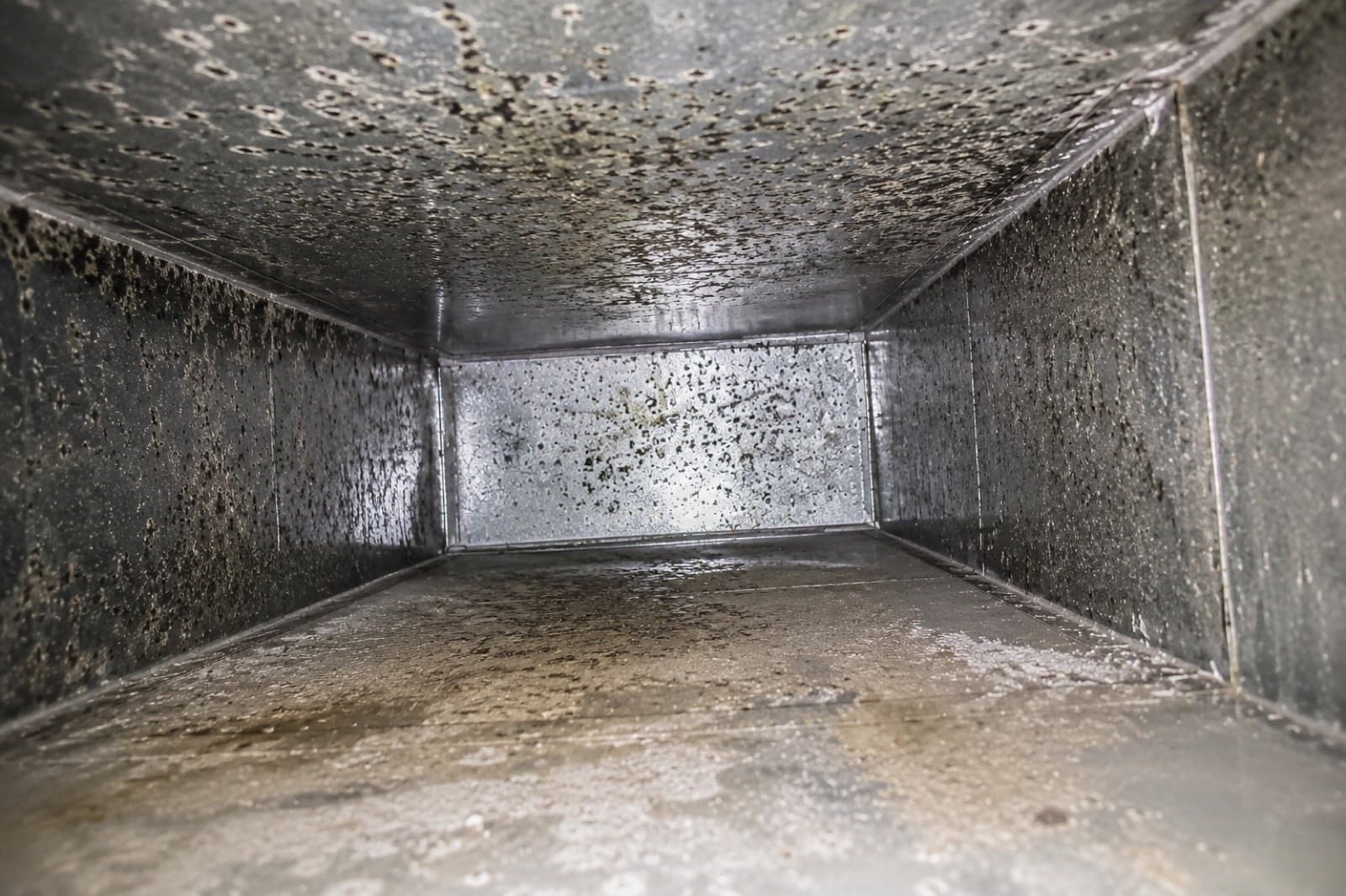Interior of a residential supply duct documented before cleaning, showing the dust and dander buildup the HVAC system recirculates through every room