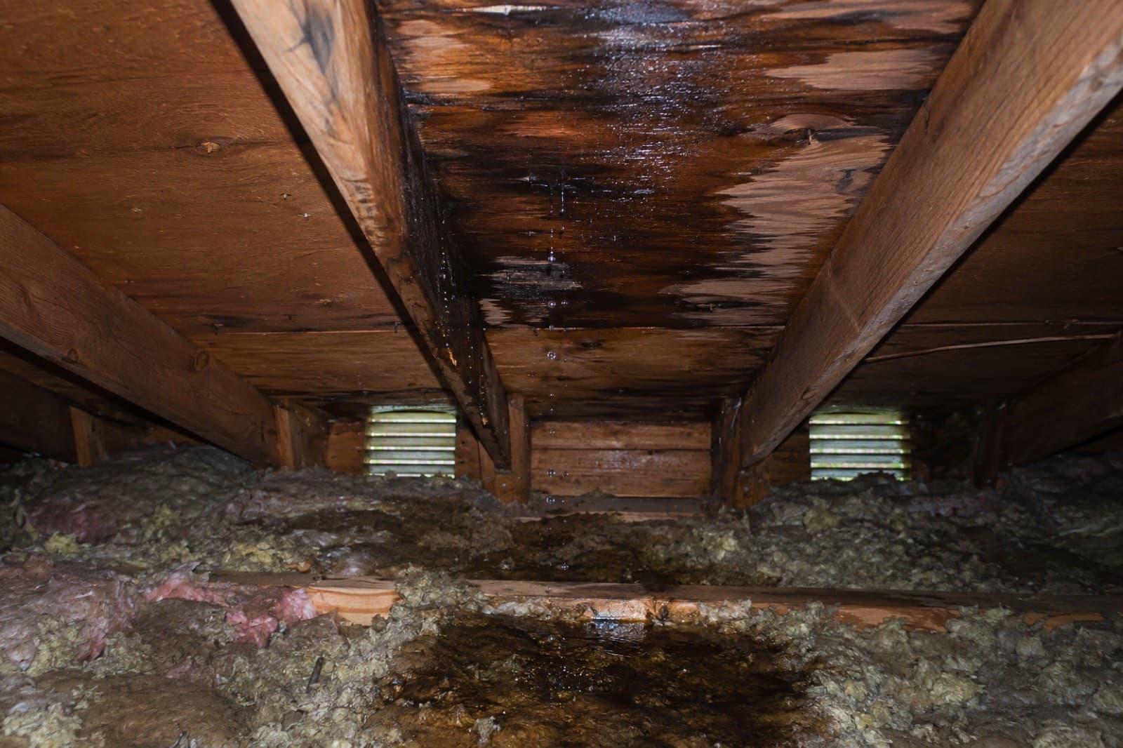 Water-stained and saturated attic sheathing and framing above wet insulation from a roof leak