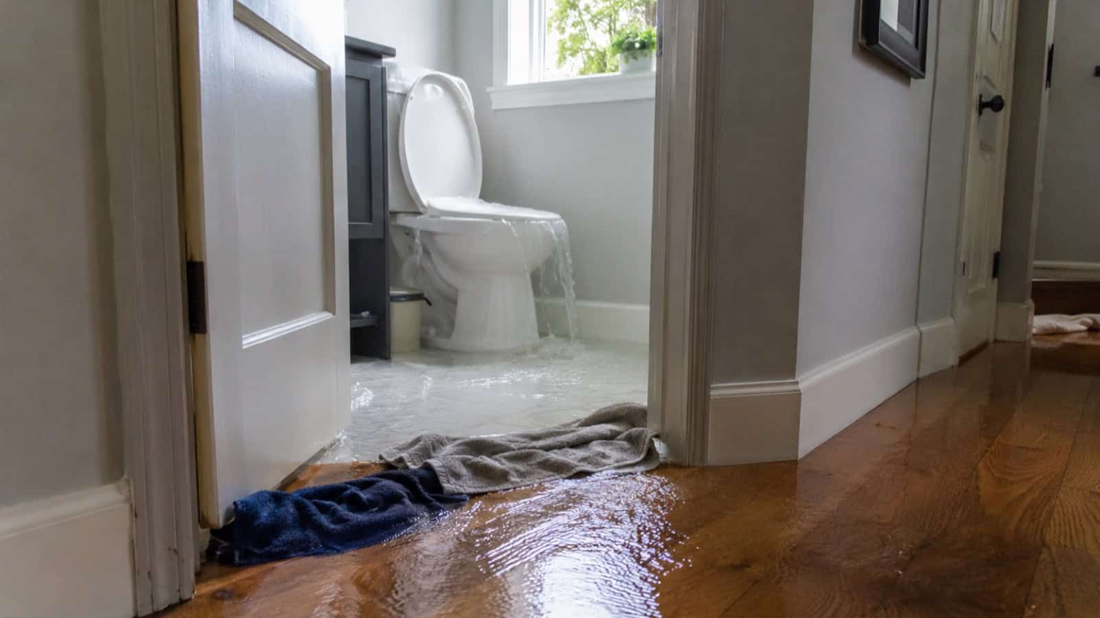 Emergency Water Damage Restoration CT · NY · MA - Green Restoration