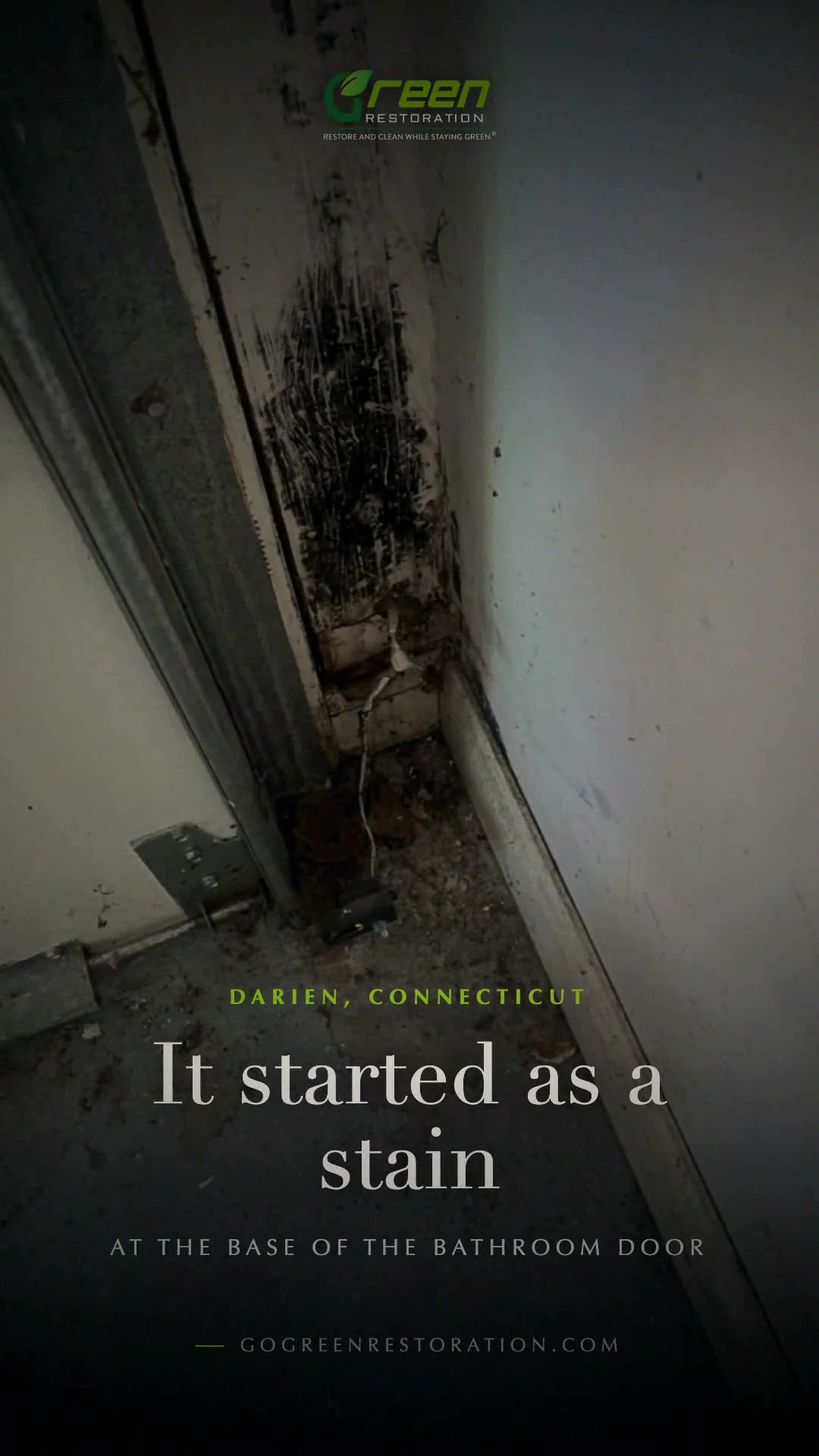 Project video preview