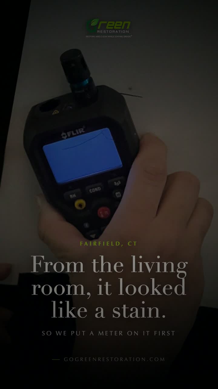 Project video preview