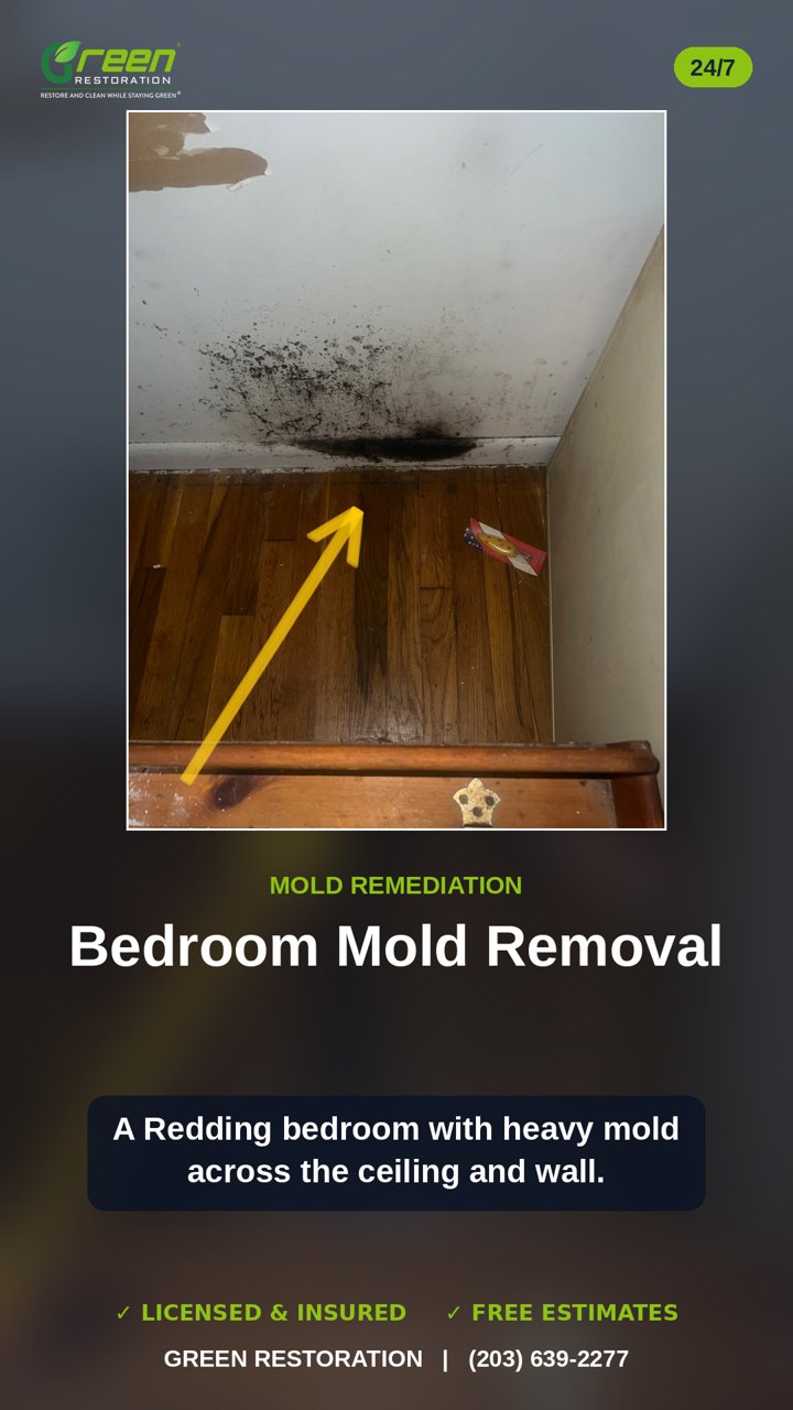 Redding: Bedroom Mold Remediation