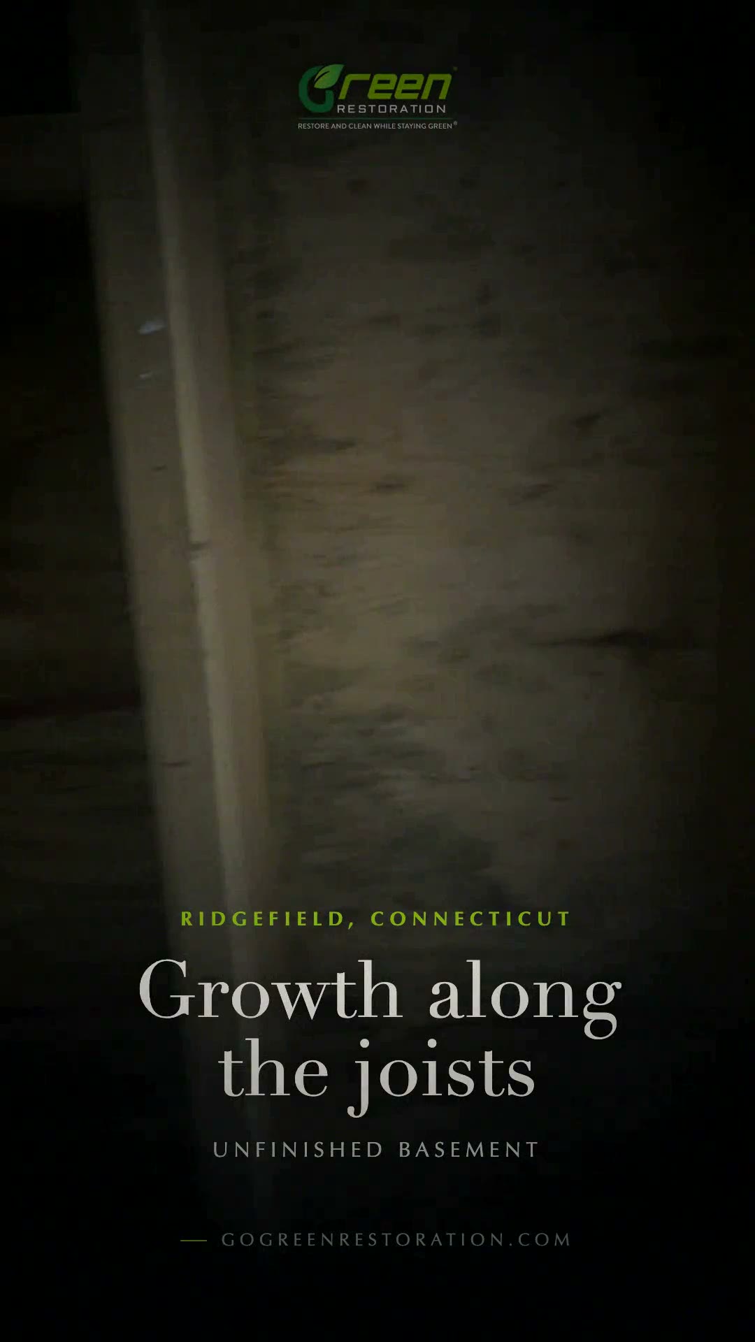 Project video preview