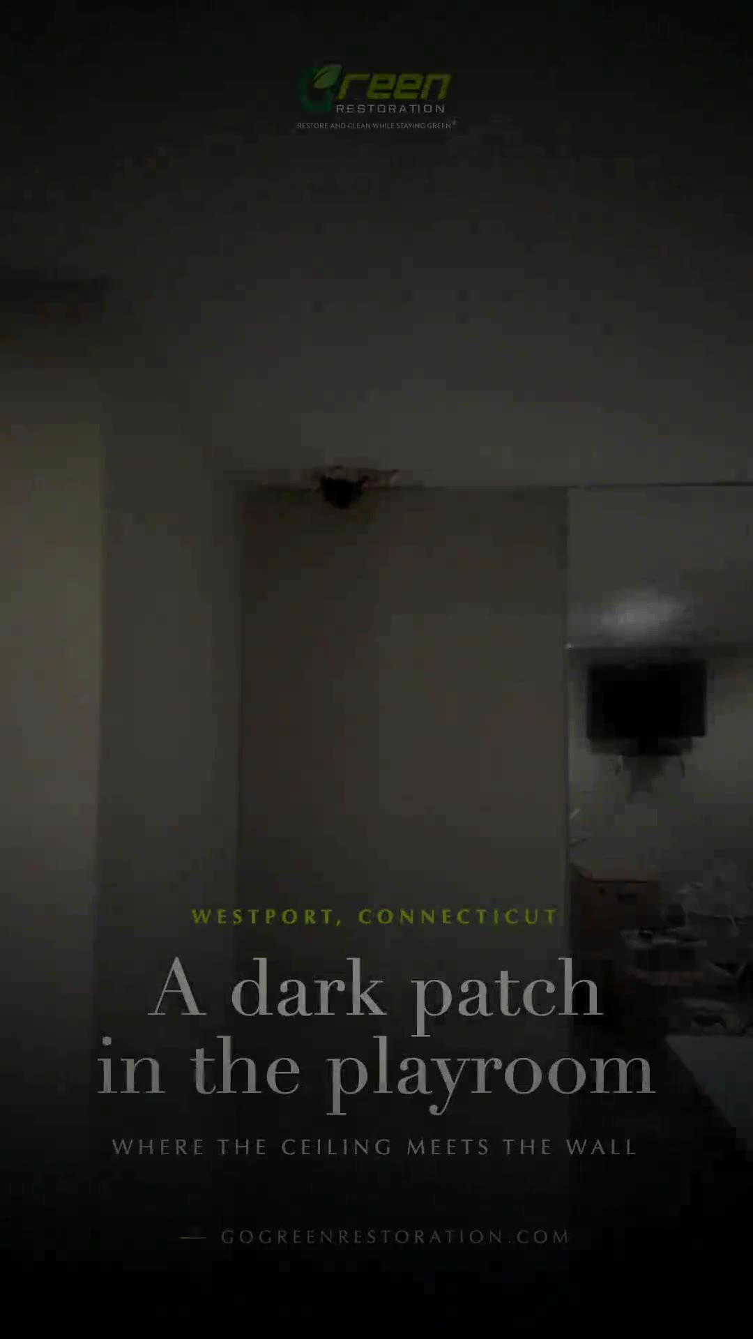 Project video preview