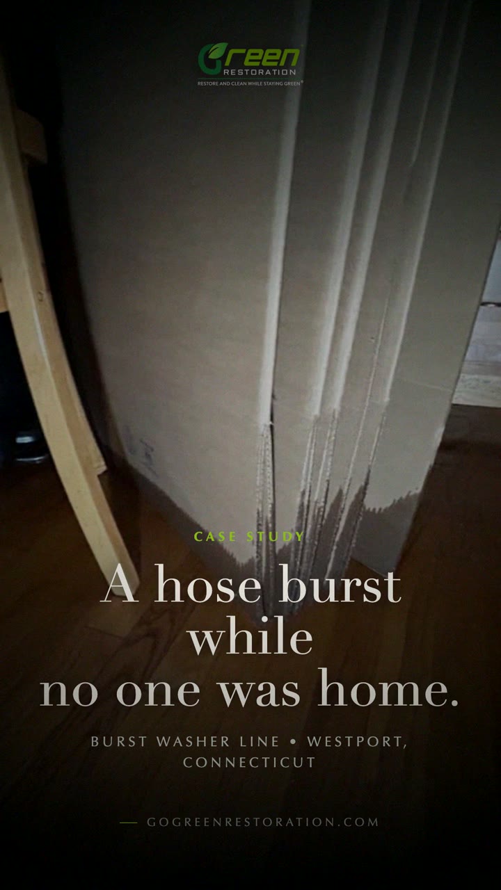 Watch a Real Westport Water Damage Job